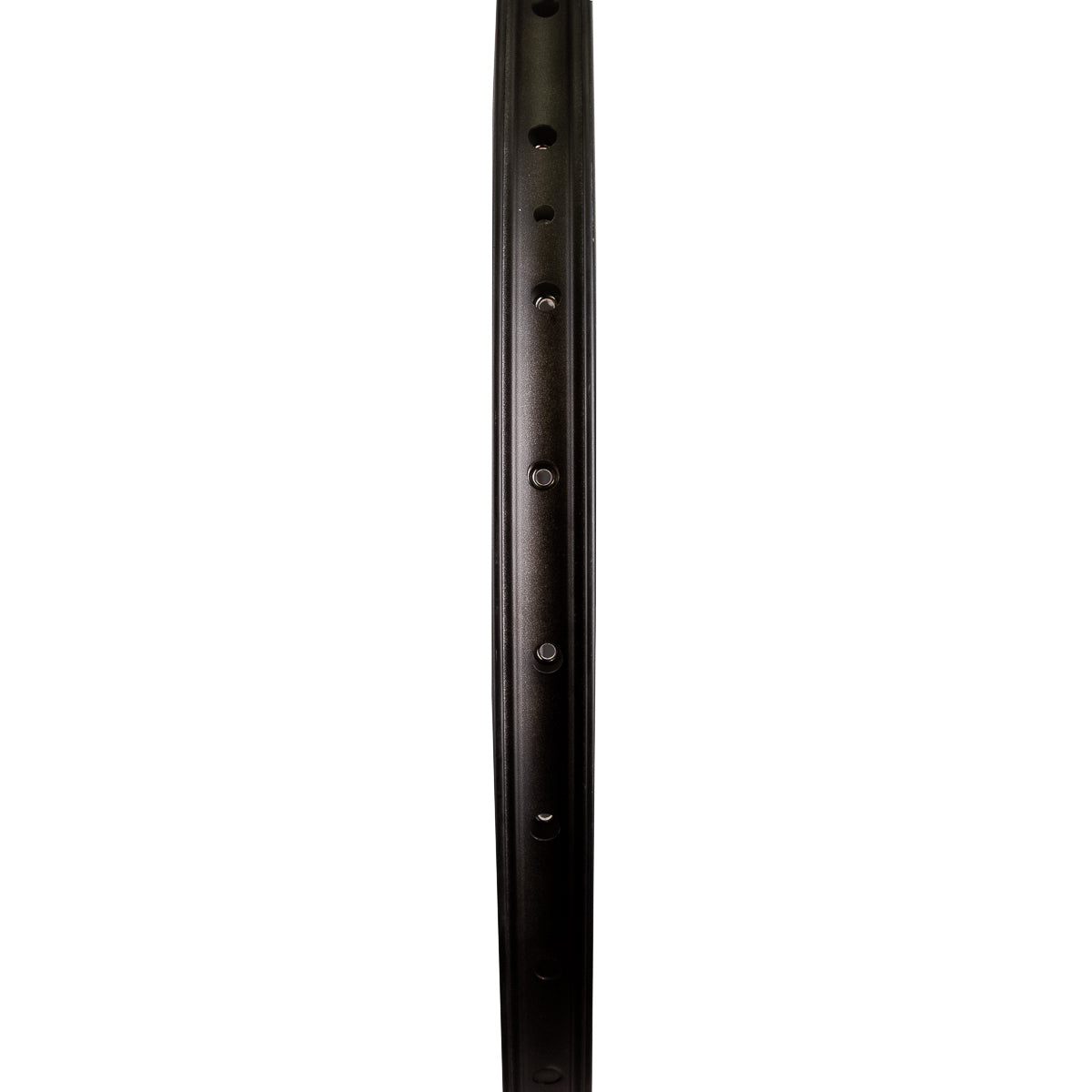 Rin para bicicleta Hunter R29 36 hoyos