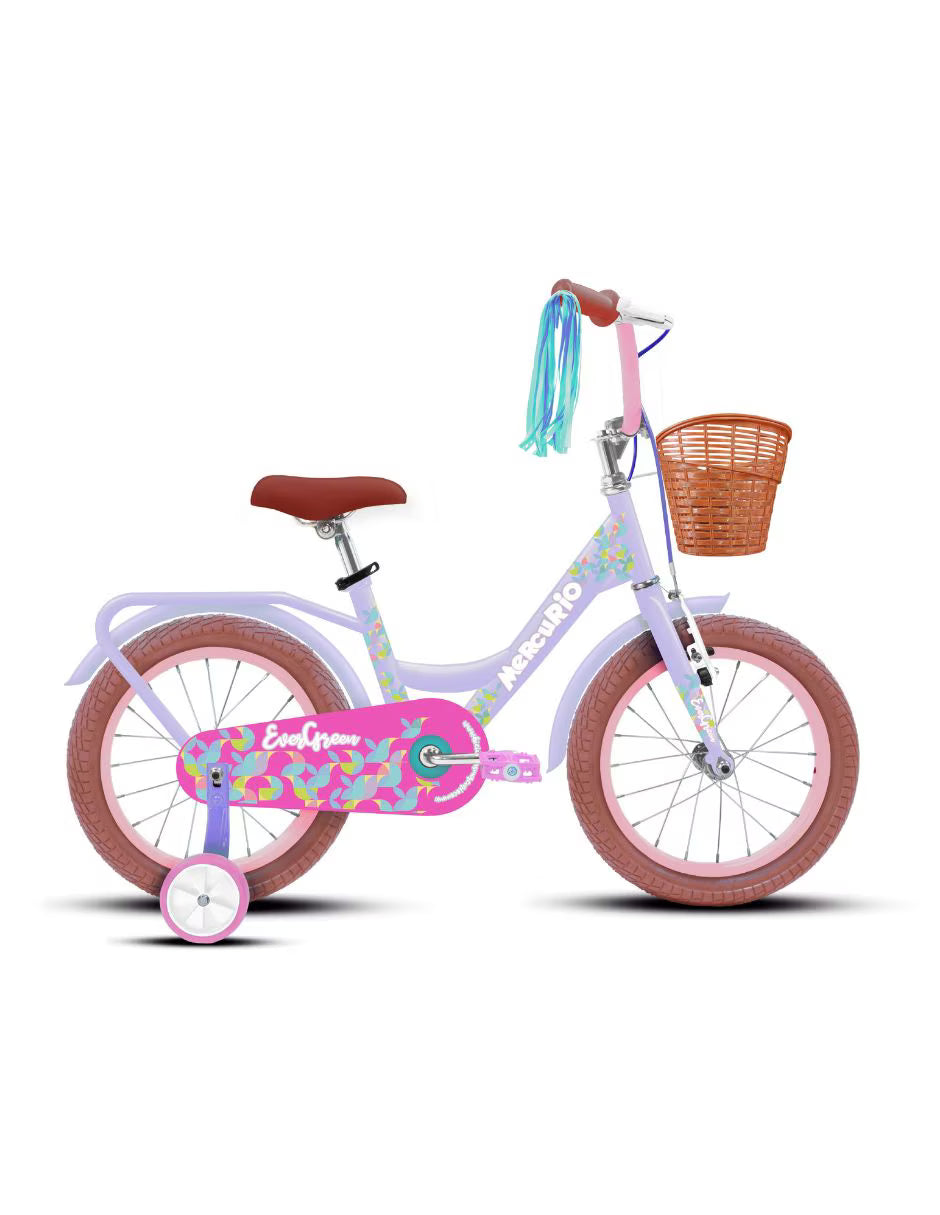 Bicicleta infantil Mercurio Evergreen R16 1v