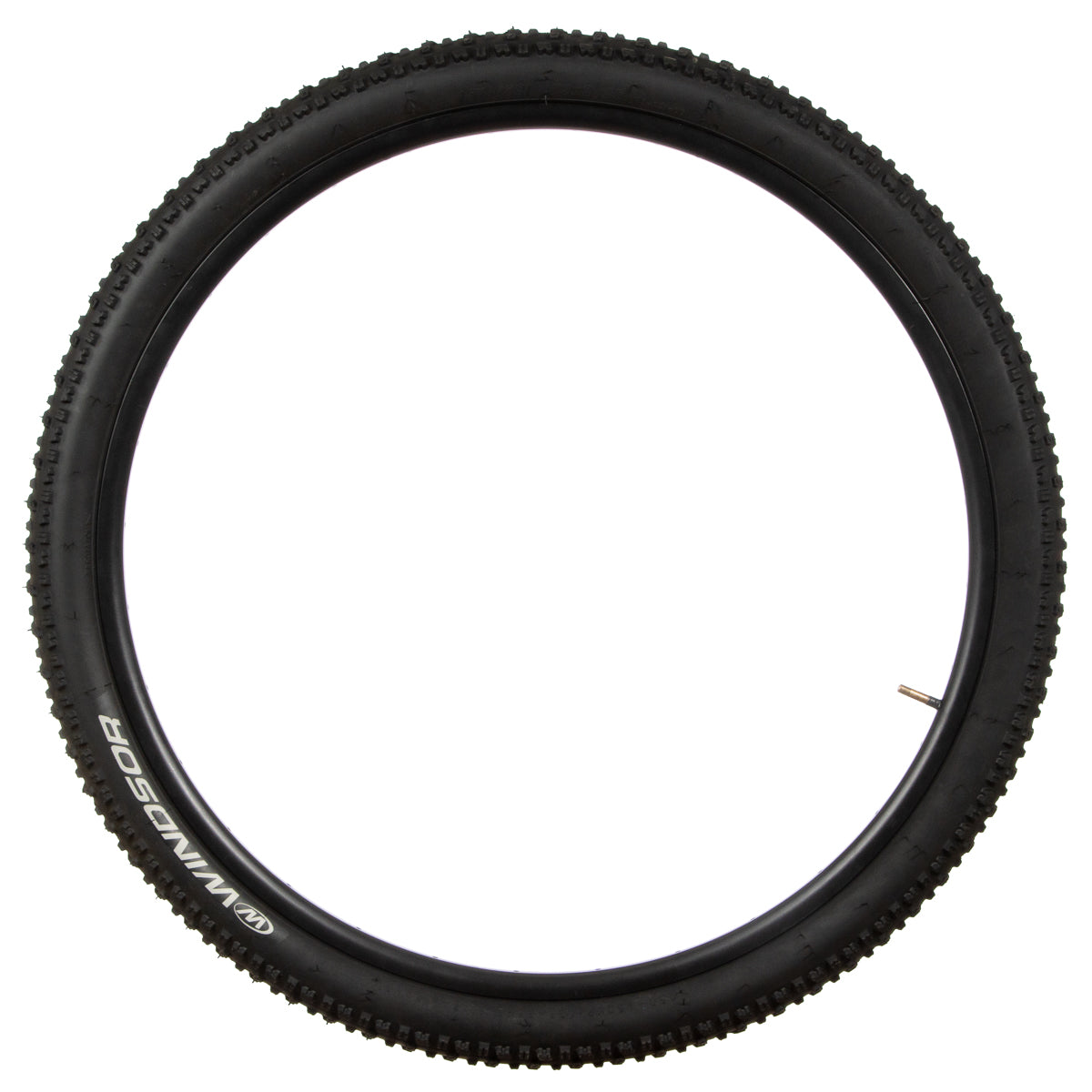 Llanta para bicicleta MTB Windsor R29x2.25 65PSI