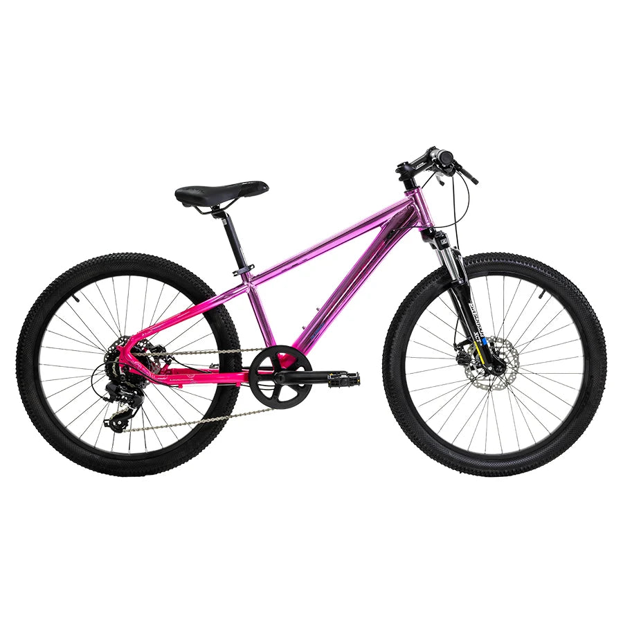 Bicicleta de montaña Alubike Sierra R24 1x8V
