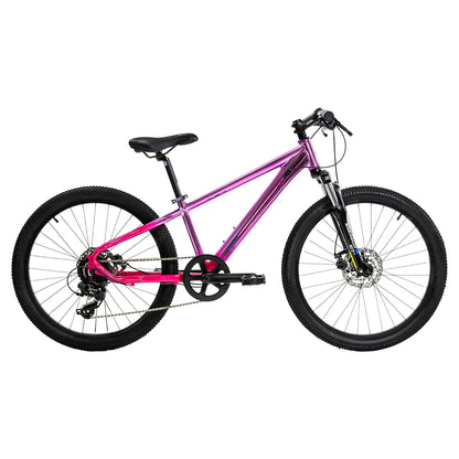 Bicicleta de montaña Alubike Sierra R24 1x8V
