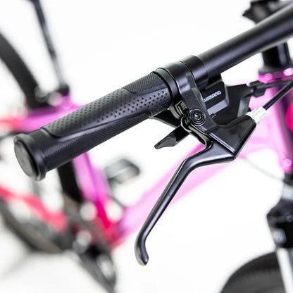 Bicicleta de montaña Alubike Sierra R24 1x8V