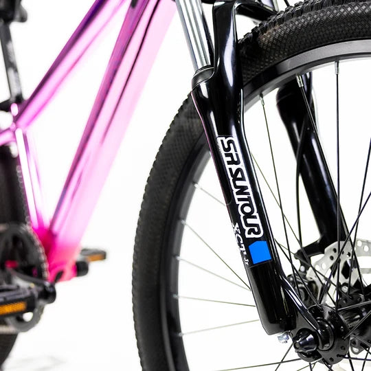 Bicicleta de montaña Alubike Sierra R24 1x8V