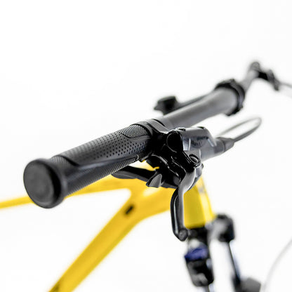 Bicicleta de montaña Alubike Sierra R29 1x8v