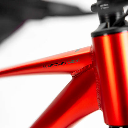 Bicicleta de montaña Alubike XTA 1.0 R29 1x10v