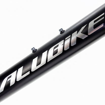 Bicicleta de montaña Alubike XTA 1.0 R29 1x10v