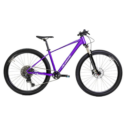 Bicicleta de montaña Alubike XTA 2.0 R29 1x11v