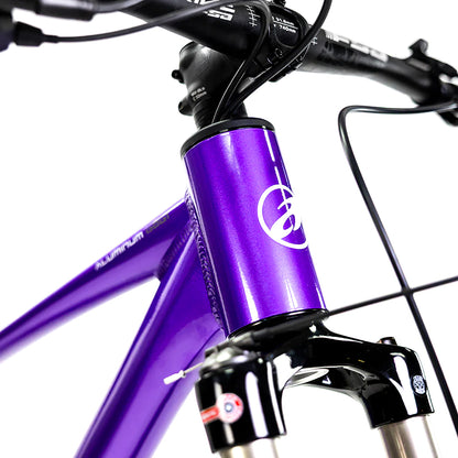 Bicicleta de montaña Alubike XTA 2.0 R29 1x11v
