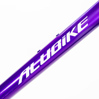 Bicicleta de montaña Alubike XTA 2.0 R29 1x11v