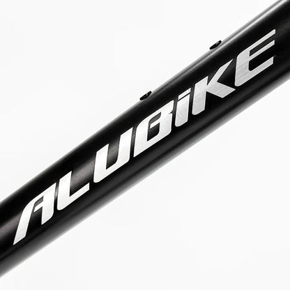 Bicicleta de montaña Alubike XTA 3.0 R29 1x12v