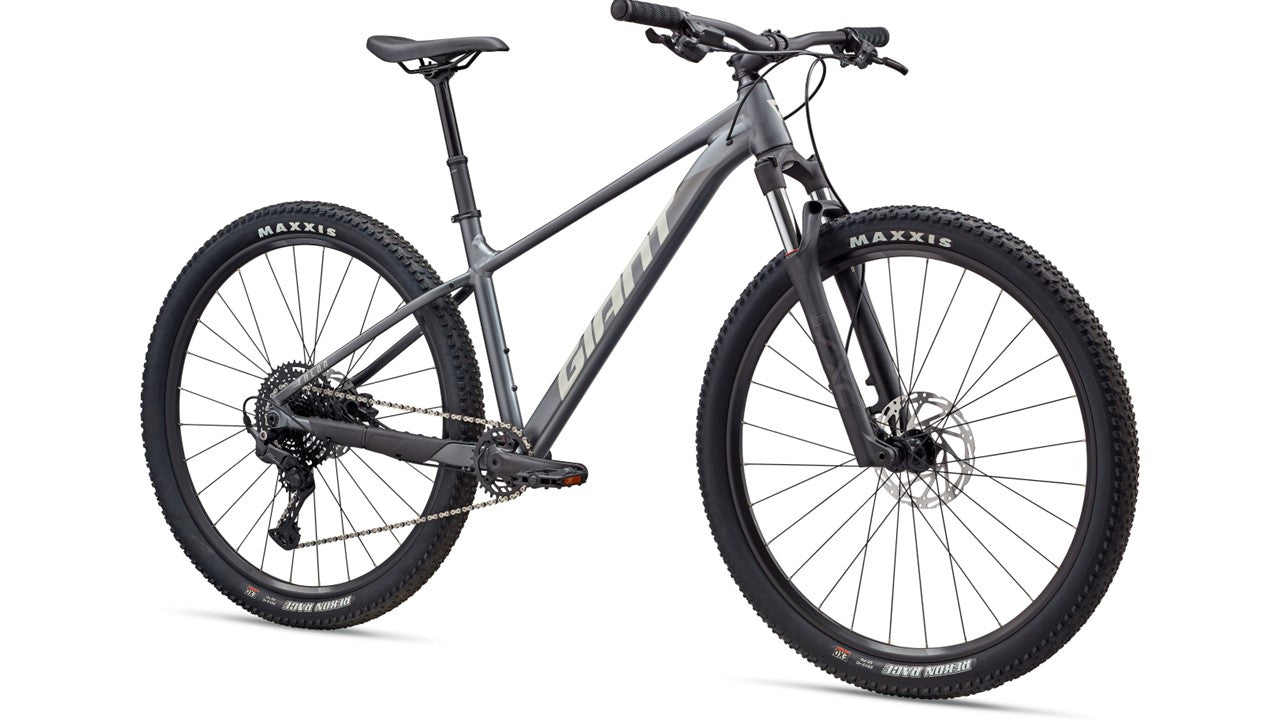 Bicicleta de montaña Giant Talon 1 R29 1x10v T-M