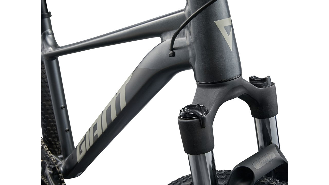 Bicicleta de montaña Giant Talon 1 R29 1x10v T-M