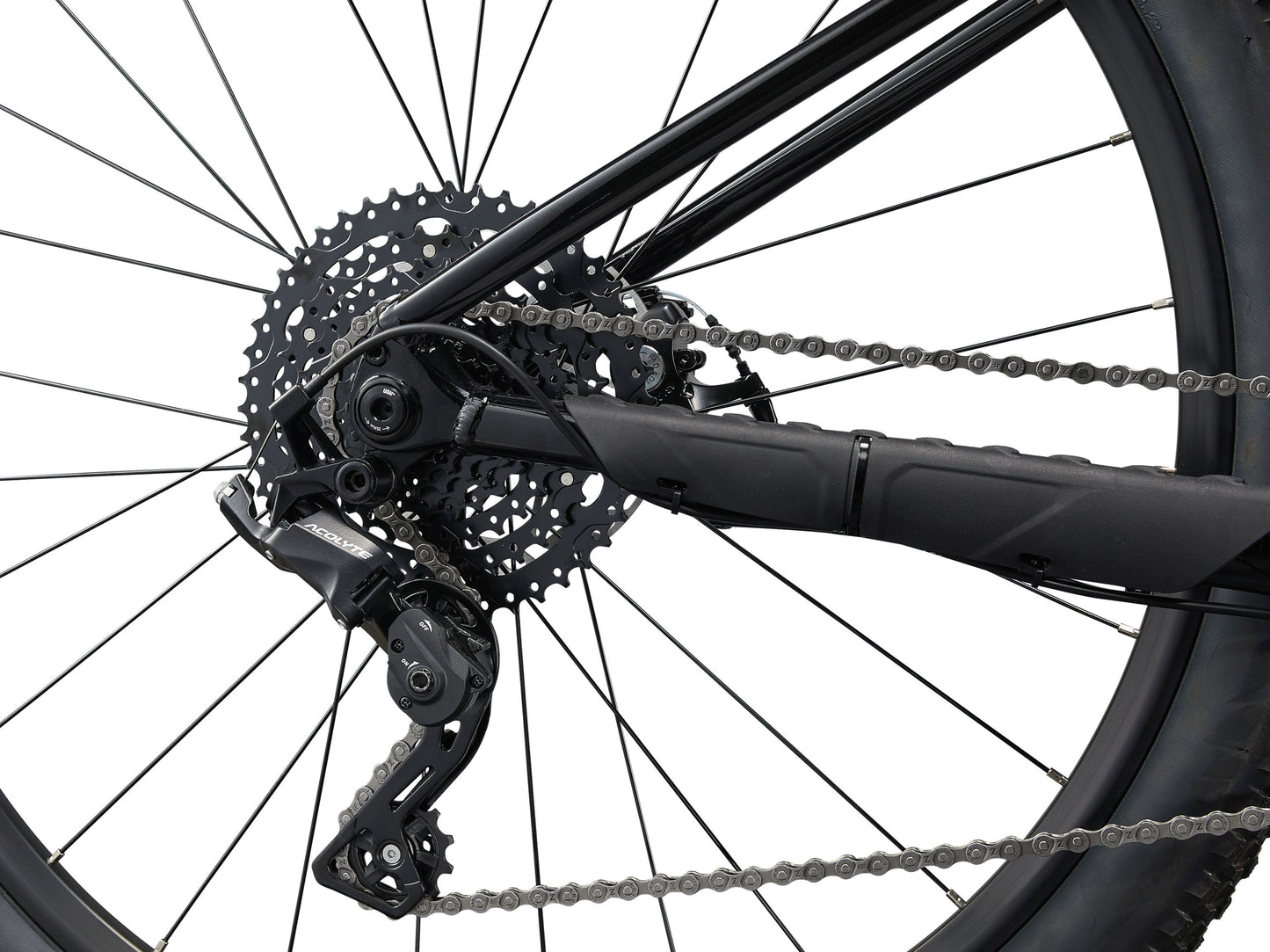 Bicicleta de montaña Liv Tempt 4 R29 1x8v T-S