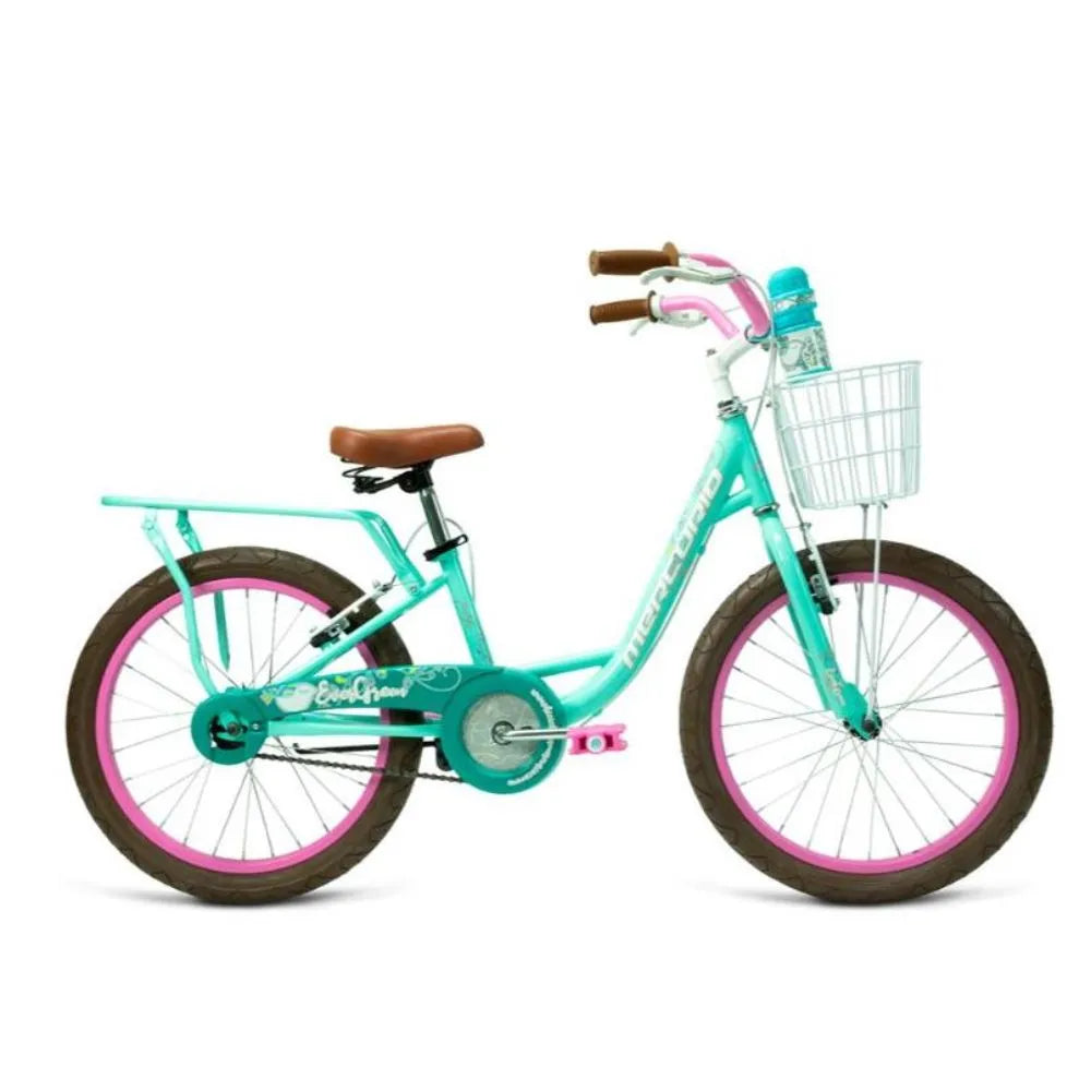 Bicicleta infantil Mercurio Evergreen R20 1v