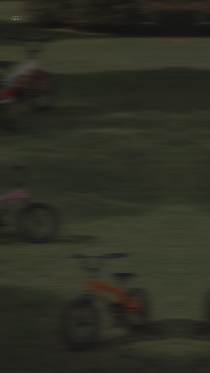 Bicicleta infantil Wander Rover R16 1v